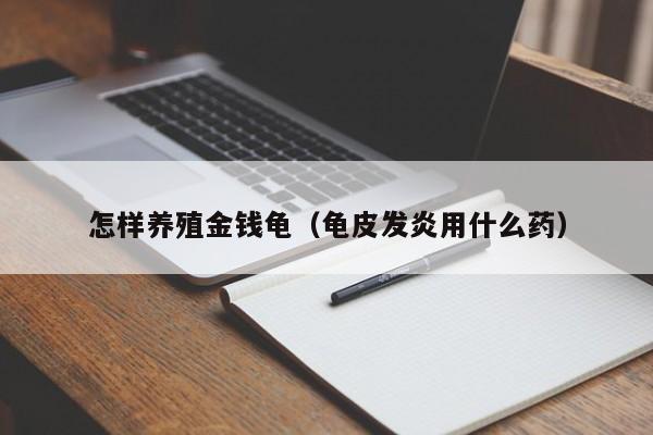 怎样养殖金钱龟（龟皮发炎用什么药）