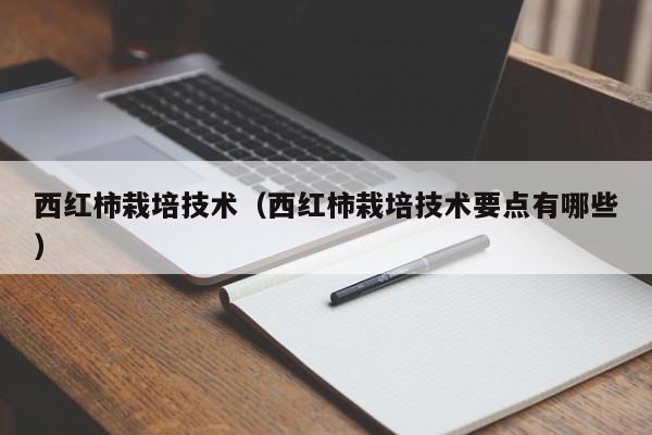 西红柿栽培技术（西红柿栽培技术要点有哪些）