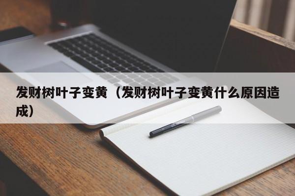 发财树叶子变黄（发财树叶子变黄什么原因造成）