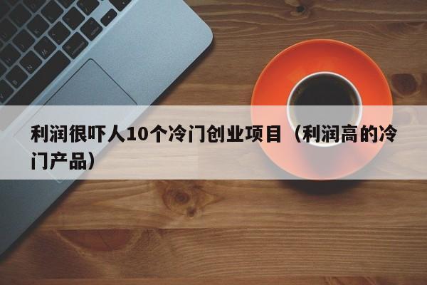 利润很吓人10个冷门创业项目（利润高的冷门产品）