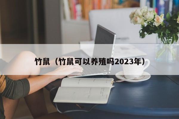 竹鼠（竹鼠可以养殖吗2023年）