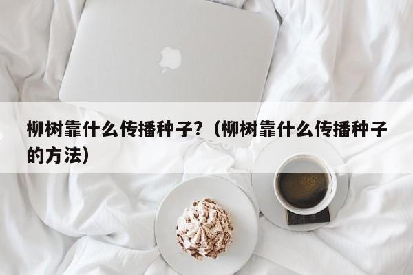 柳树靠什么传播种子?（柳树靠什么传播种子的方法）