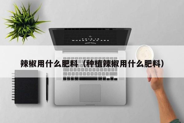 辣椒用什么肥料（种植辣椒用什么肥料）