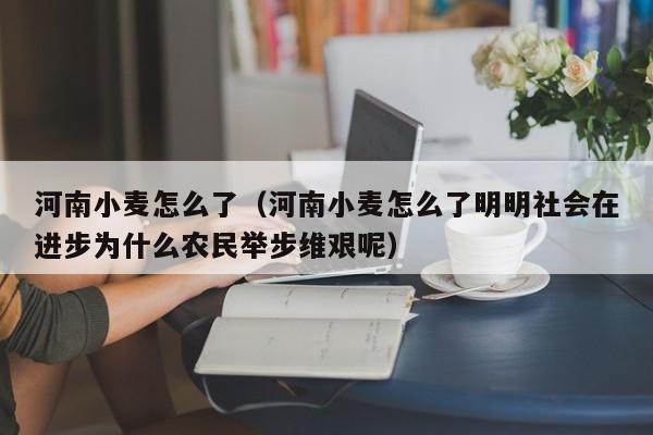 河南小麦怎么了（河南小麦怎么了明明社会在进步为什么农民举步维艰呢）