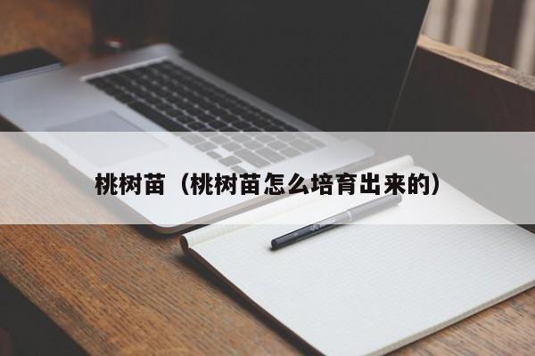 桃树苗（桃树苗怎么培育出来的）