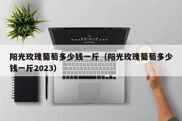 阳光玫瑰葡萄多少钱一斤（阳光玫瑰葡萄多少钱一斤2023）