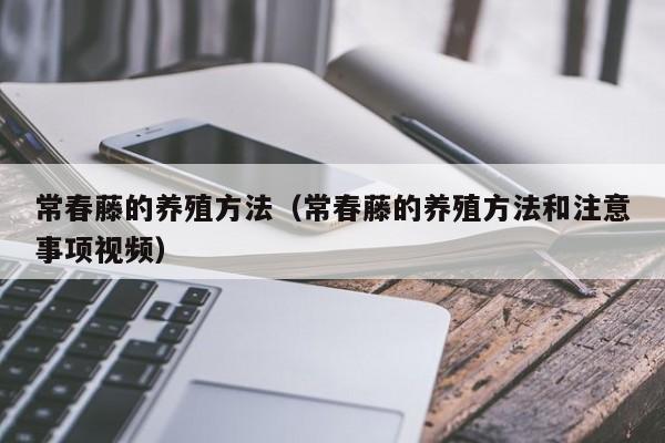 常春藤的养殖方法（常春藤的养殖方法和注意事项视频）