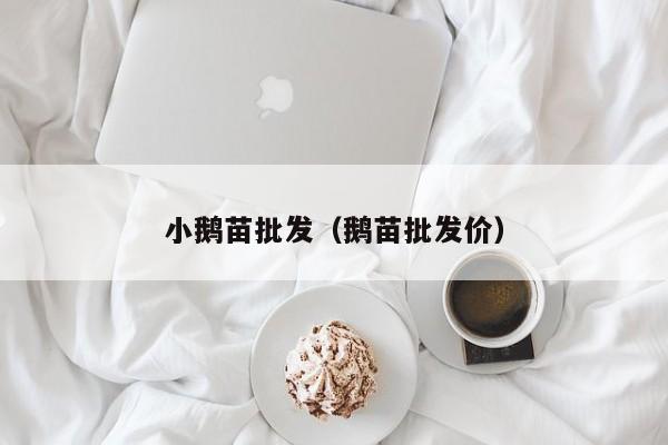 小鹅苗批发（鹅苗批发价）