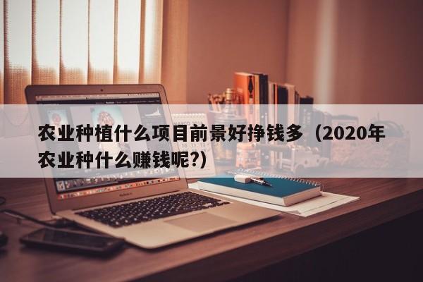 农业种植什么项目前景好挣钱多（2020年农业种什么赚钱呢?）