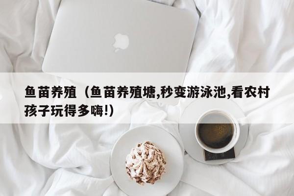 鱼苗养殖（鱼苗养殖塘,秒变游泳池,看农村孩子玩得多嗨!）