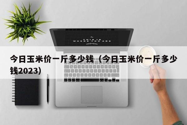 今日玉米价一斤多少钱（今日玉米价一斤多少钱2023）