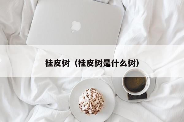 桂皮树（桂皮树是什么树）