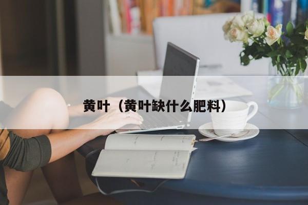 黄叶（黄叶缺什么肥料）