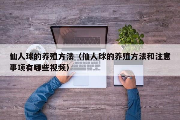 仙人球的养殖方法（仙人球的养殖方法和注意事项有哪些视频）